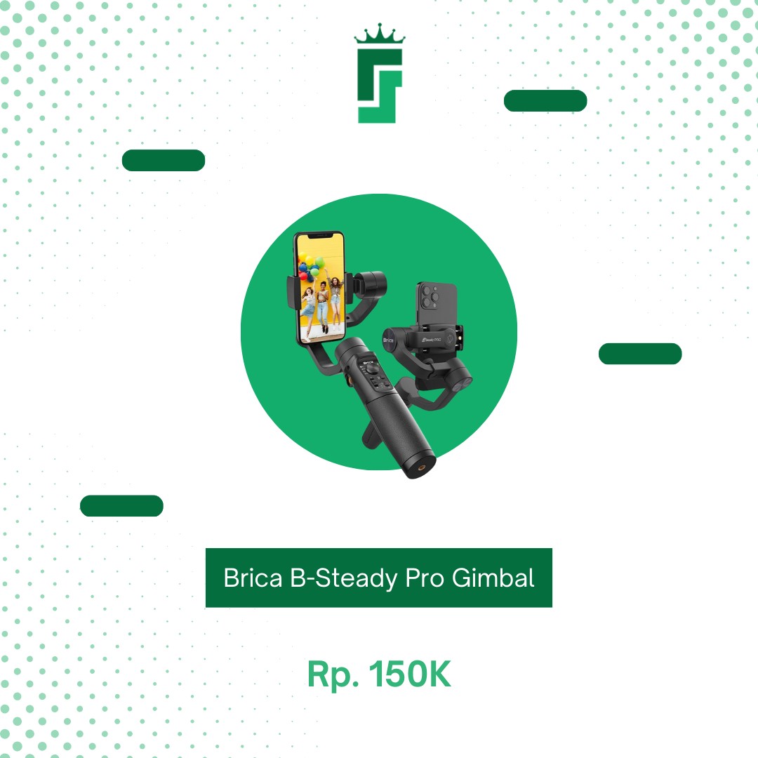 Brica B-Steady Pro 2024